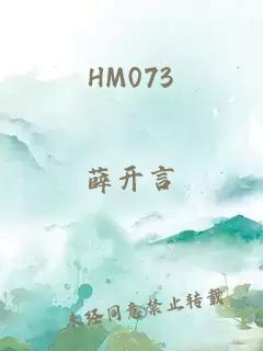 hm073